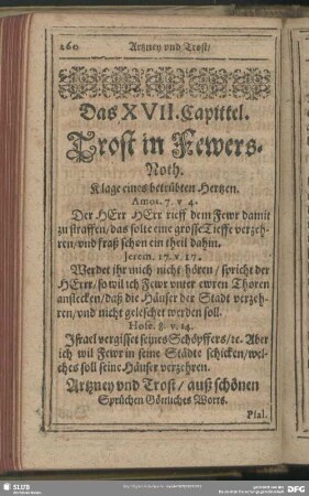 Das XVII. Capittel. Trost in Fewers-Noth