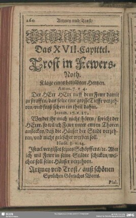 Das XVII. Capittel. Trost in Fewers-Noth