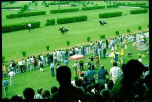 Meran (Südtirol, Italien): Galopp-Hindernis Rennen