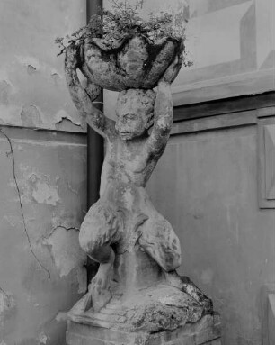 Faun