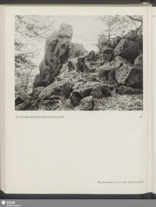 Der Granitblockgipfel des Gerbersteins bei Ruhla