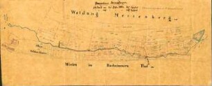 Standesherrschaft Fürstenberg gegen Buggle, Müller, Immendingen wegen Wassernutzung