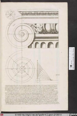 [Volute des ionischen Kapitells]