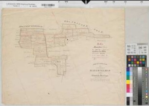 Laer (Laer), Beerlage (Billerbeck), Teilung des Holthauser Feldes, Brouillonkarte Bl.3 Haferfeld