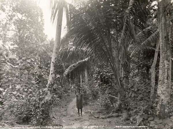 "Away from the landing site to the village of Madoa."