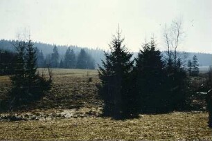 Sigrazhofener Ried