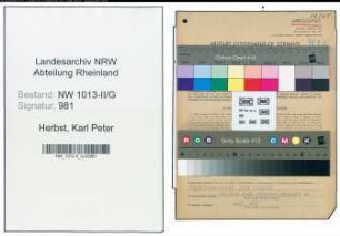 Entnazifizierung Karl Peter Herbst , geb. 31.10.1910 ()