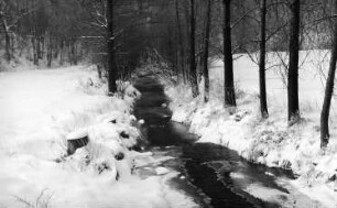 Wilsdruff-Herzogswalde. Die Triebisch unweit der Dorfmühle in Richtung Semmelmühle bei der Brücke an der Helbigsdorfer Straße