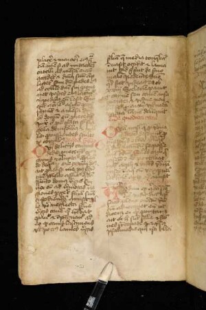 Audivi quod quidam sanctus homo dum esset in choro vidit diabolum …