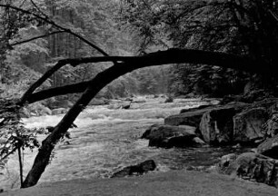 Thale, im Bodetal