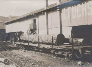 Fa. H. Fuchs Söhne, Holzhandlung im Rheinhafen. Werkshalle