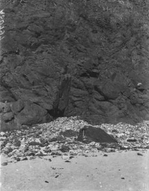 Am Strand : Blick auf angeschwemmte Muscheln und Steine am Strand.