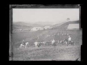 [44]: Reisebilder aus Zentralmexiko : Topografische Ansichten und Personenaufnahmen
