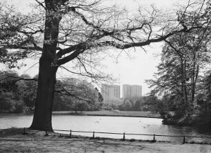 Dresden. Großer Garten, Neuteich : Dresden-Altstadt, Großer Garten. Blick über den Neuteich zu Wohnhochhäusern Stübelallee