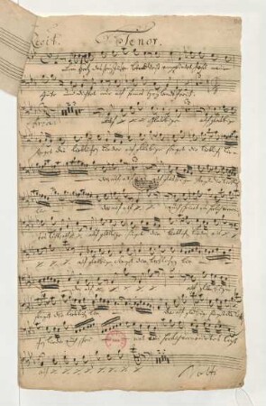 Tenor[e]