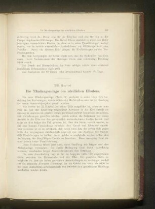 XIII. Mündungsanlage des nördlichen Elbufers.