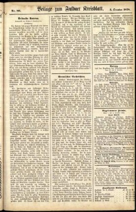 Zweite Ausgabe vom Samstag, den 05. Oktober 1878.