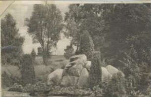 Postkarte, Soldin (Neumark)