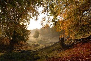 Heimat Natur