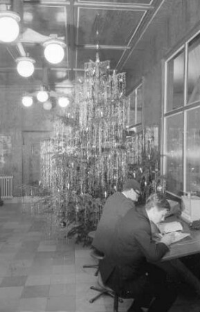 Freiburg: Stefan-Meier-Straße; Weihnachtsbaum in der Schalterhalle