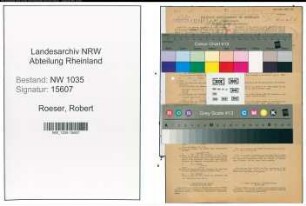 Entnazifizierung Robert Roeser , geb. 20.06.1896 (Schlosser)