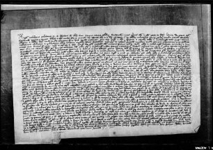 Die Stellvertreter des abwesenden Bischofs von Konstanz bestätigen die Statuten des Stifts Sindelfingen von 1297 Nov. 13.