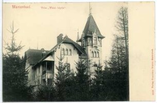 Marienbad. Villa "Wald-Idylle", Gartenseite