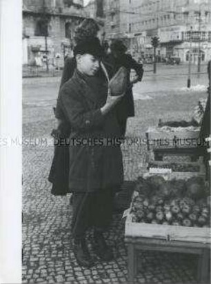 Ein Junge bestaunt Kokosnüsse auf einem Berliner Marktstand