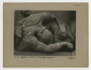 Pergamonaltar, Ostfries - Ausschnitt: Gefallener