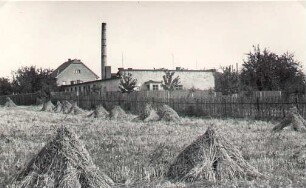 Knochenverwertungsfabrik in Jenkwitz : Twornja za předźěłanje kosćow w Jenkecach