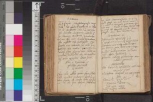 Volrad, Adam; Blatt 54