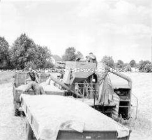 Verladen der Getreideernte in der LPG "1. Mai" Wartenberg