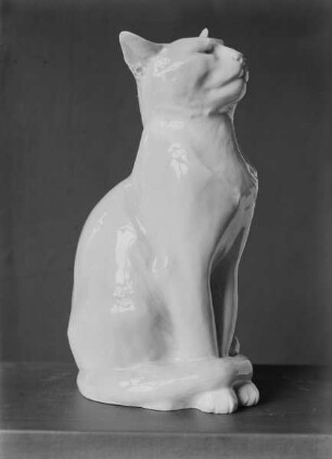 Katze