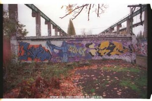 BiRNE