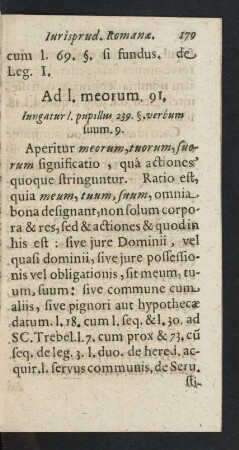 Ad l. meorum. 91.