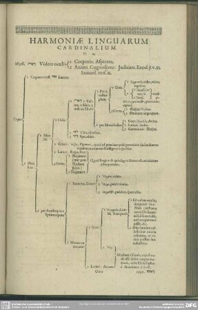 Harmoniae Linguarum Cardinalium To R