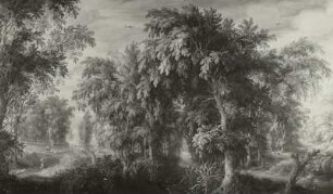 Waldlandschaft