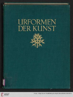 Urformen der Kunst : photographische Pflanzenbilder