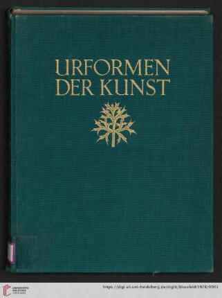 Urformen der Kunst : photographische Pflanzenbilder