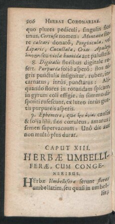 Caput XIII. Herbae Umbelliferae, Cum Congeneribus.
