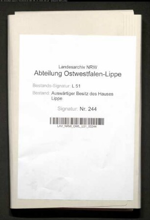 Verschiedene innere Angelegenheiten von Vianen