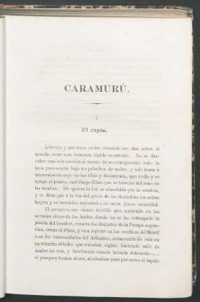 Caramurú : novela histórica original