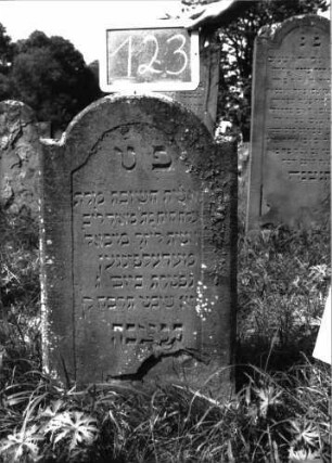 Grabstein 123 (Index: 100103487) Material: Sandstein Zustand: unten abblätternd, sonst gut erhalten Maße HxBxT: 92x50x9 cm Beschreibung: Stele, eingezogener Rundbogenabschluss, Schriftfeld eingetieft mit Konvexbogenabschluss: Grabstein 123