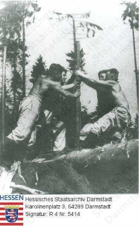 Hessen (Volksstaat), 1937 / Mitarbeiter des Reichsarbeitsdiensts beim Forsteinsatz / Szenenfoto