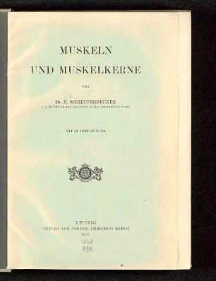 Muskeln und Muskelkerne
