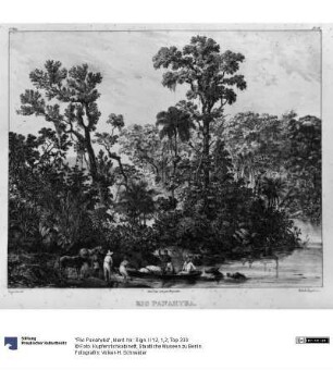 "Rio Panahyba"