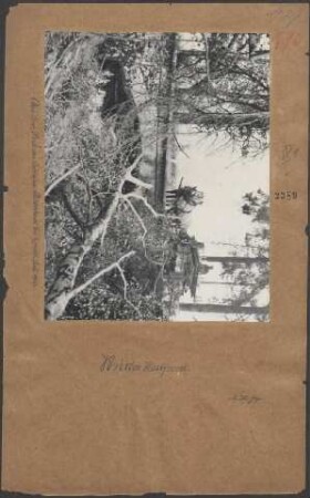 Aus dem Park des Schloßes Polderhoek bei Ypern