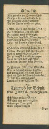 14. Triumph der Gedult