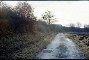 Böschung und Feldweg Nord