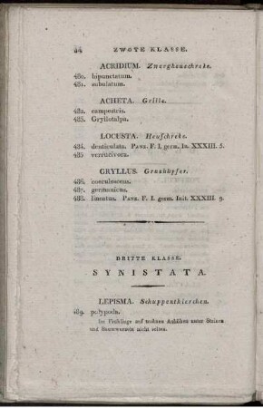Dritte Klasse. SYNISTATA.